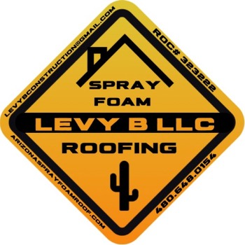 Levy B LLC